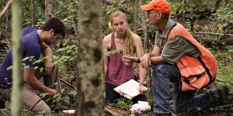 Two students and a professor kneeling in a wetland forest.