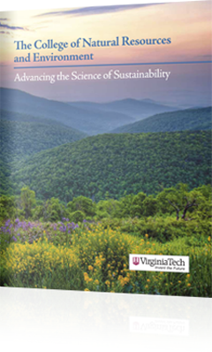 Advancing the Science of Sustainability