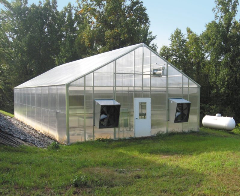 New greenhouse at Reynolds Homestead