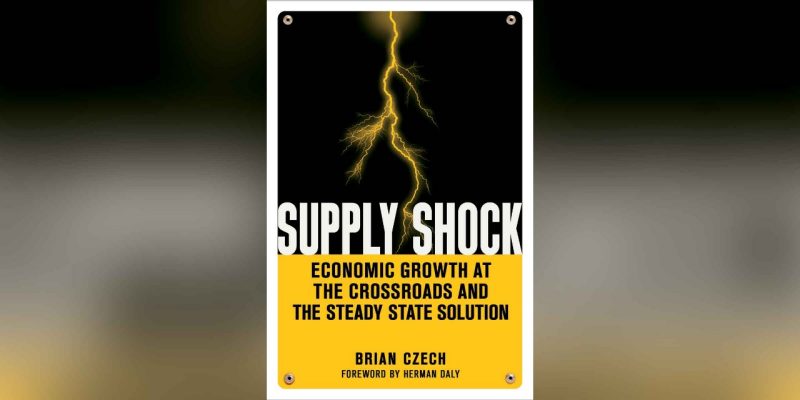 Supply Shock book cover