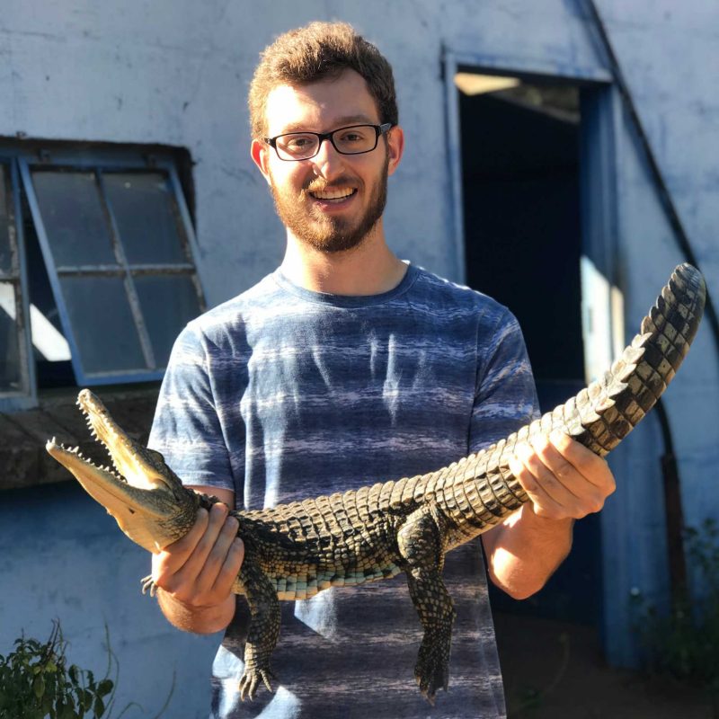 A young man stands holding a small crocodile.