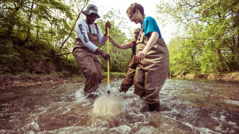 Students wearing waders in a stream holding a pole net
