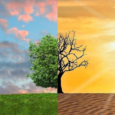 Image split in two. On left a green field with a full leaved tree and pink clouds against a blue sky. On the right a barren tree on sand against a yellow-orange sky and sun rays.