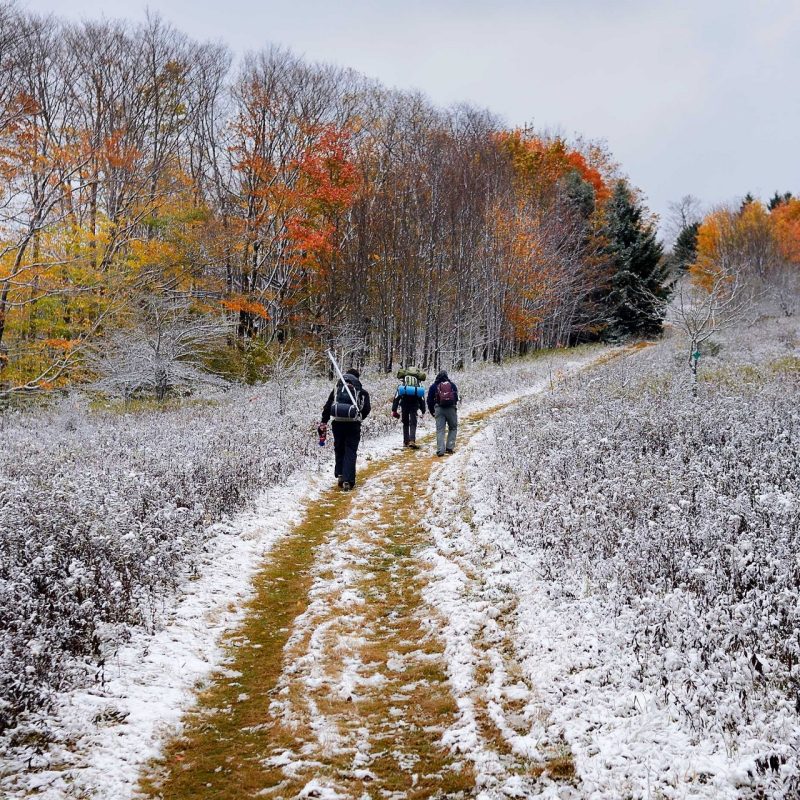Three people walking up a wide trail with a light dusting of snow on the ground and trees in the background.