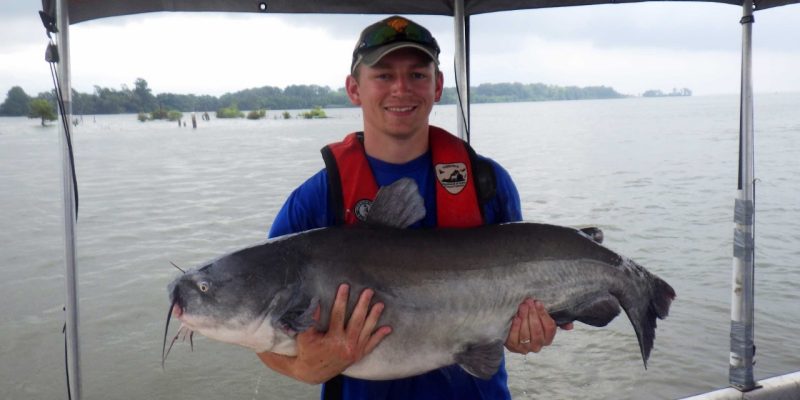 Corbin Hilling holds a very large catfish while standing on a boat in a large river