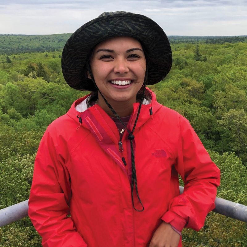 An intern in a red rain jacket on an observation stand above the tree tops.