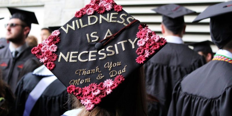 Lettered on graduation cap: Wildness is a Necessity, Thank You Mom and Dad