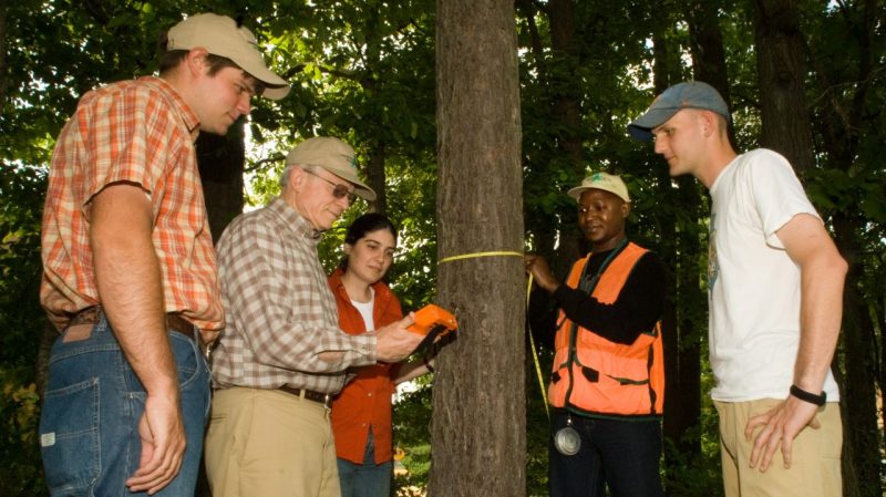 A professor and students measure a tree.