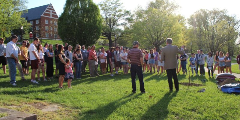 People gathered in a grassy area around a newly planted shoulder high tree 