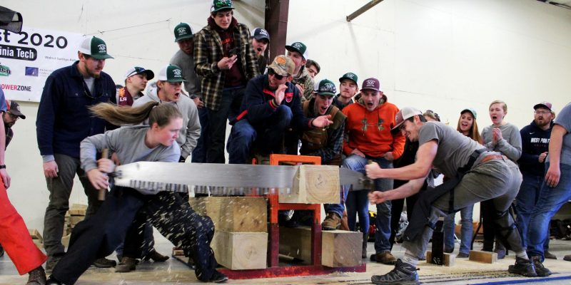 Students using two man crosscut saw in Jack and Jill Timberbeast competition.
