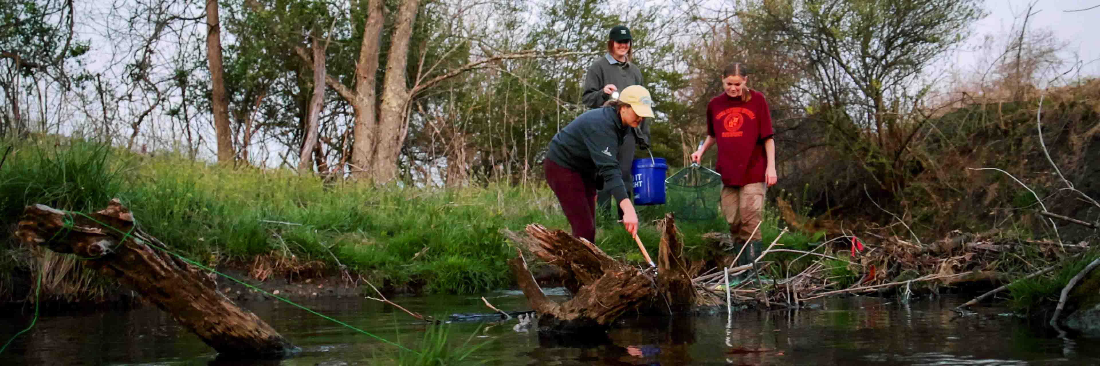 Three students wade in a creek holding a bucket and a fishing pole net.