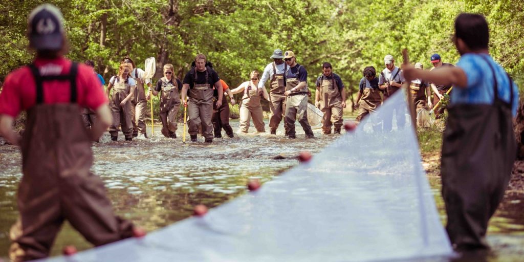 Virginia Tech Ichthyology Class : The Pike and the Fathead