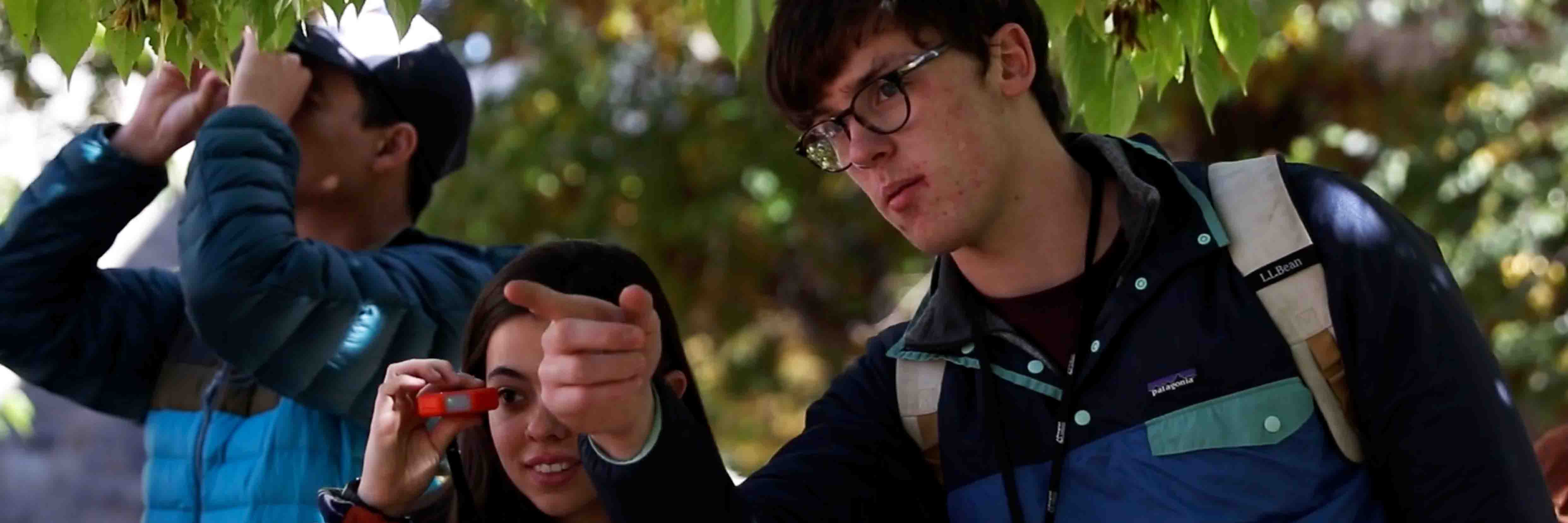 Students looking and pointing at trees