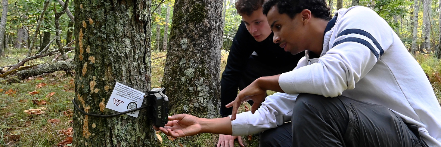 Students kneeling down to set up a camera trap attached to a tree in a forest