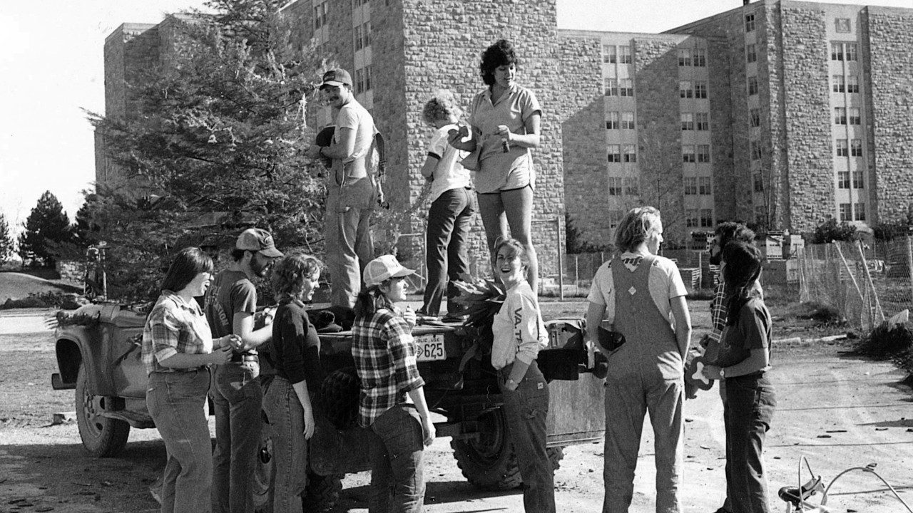 A group of students standing on and around a flat bed truck preparing to move a tree to plant