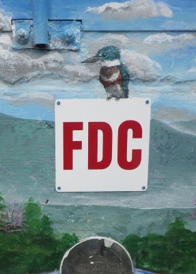 A painted Belted King Fisher sitting on an FDC sign