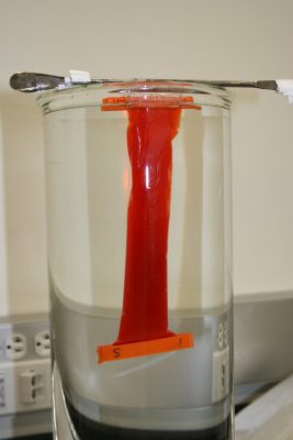 This photo shows a suspension of cellulose nanocrystals functionalized with a common cancer drug (doxorubicin) in dialysis tubing.