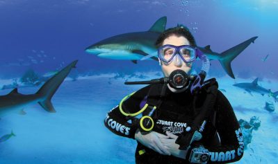 Clark dives with shark off the coast of the Bahamas. 