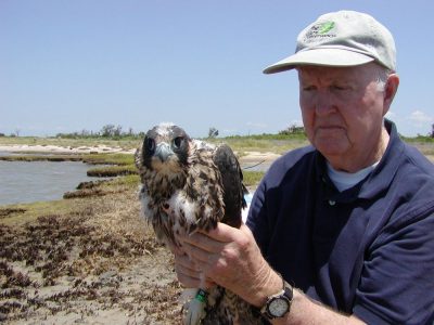 Mitchell Byrd holding peregrine falcon