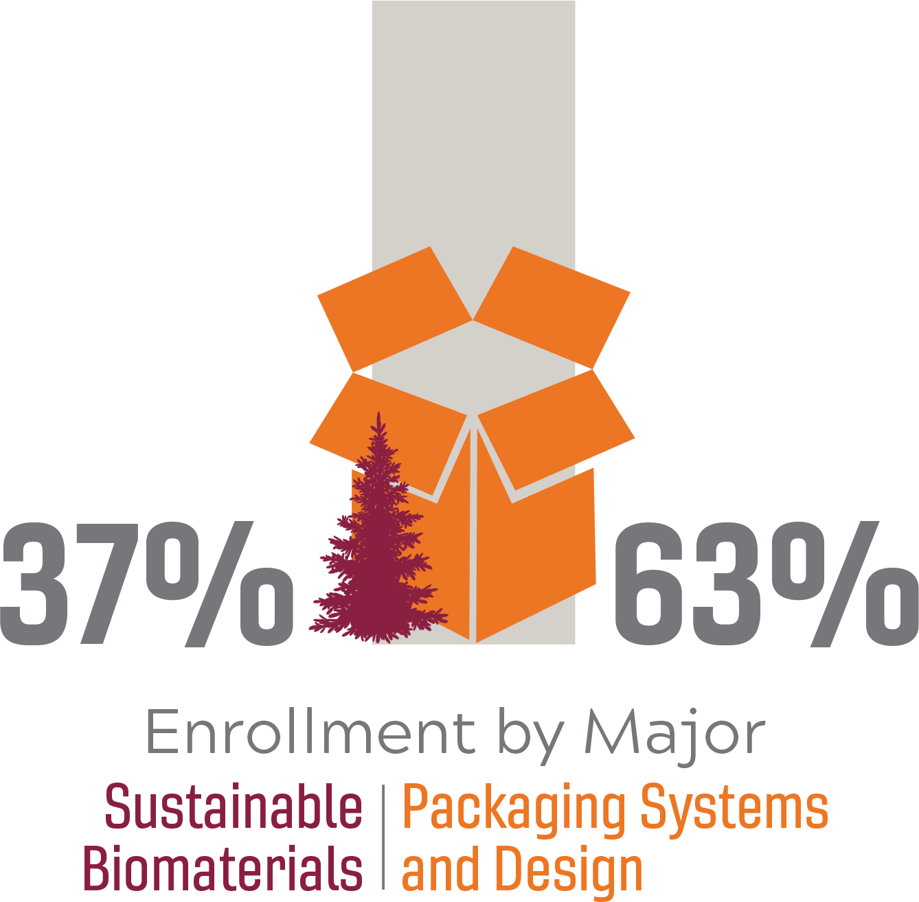 Enrollment by Major: 37% Sustainable Biomaterials, 63% Packaging Systems and Design.