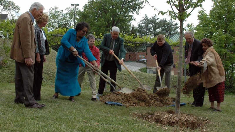Marion Arbor Day