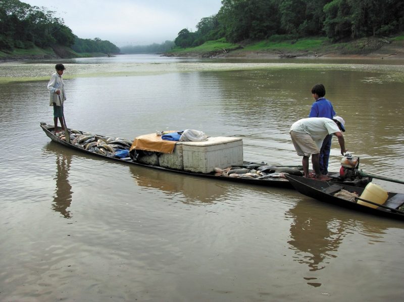 Amazon fishermen