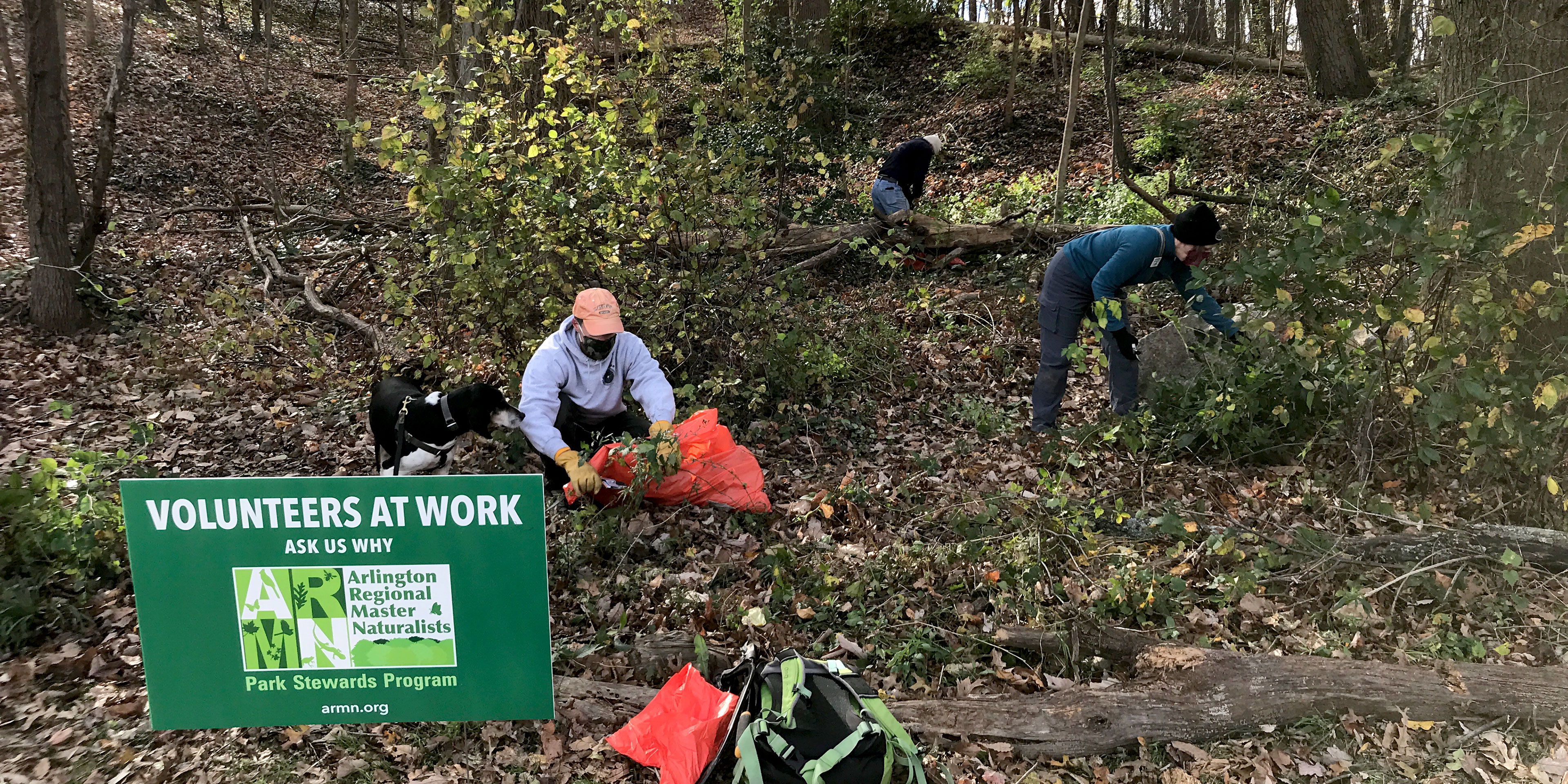 Three volunteers and a dog in a forest. A sign reads: Volunteers at work, ask us why, Arlington Regional Master Naturalists, Park Stewards Program.