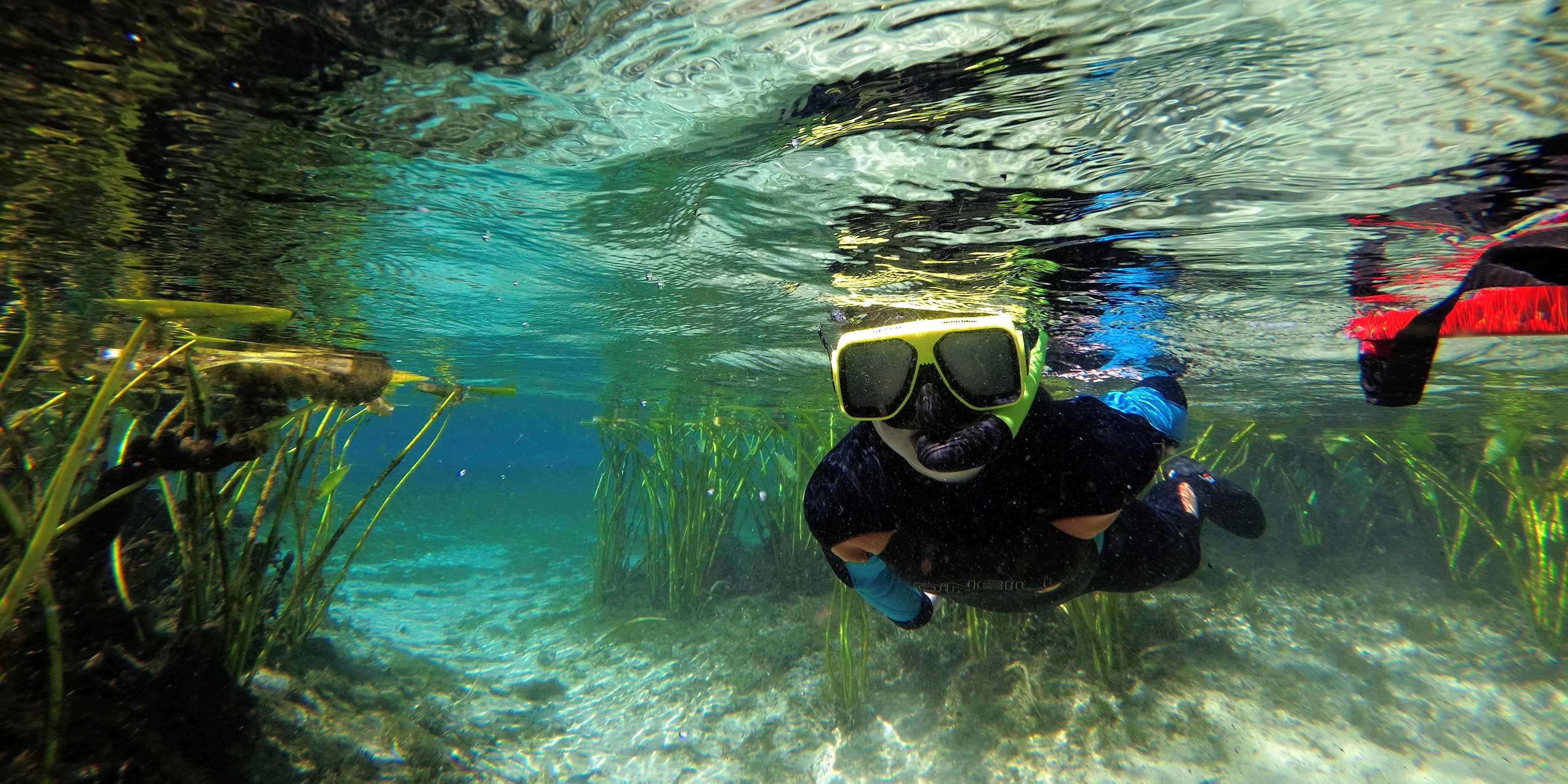 : In this underwater view, a school student wearing goggles, a snorkel, and a wetsuit swims just under the surface, with grasses in the background.