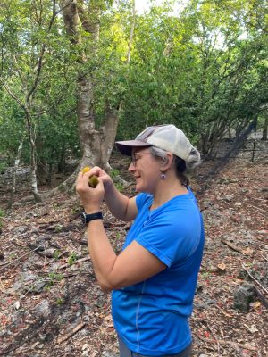 woman in blue shirt holds a piece of fruit in a forest