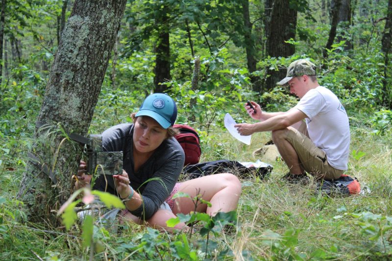 Students spent 10 days in the outdoors for a Wildlife Field Techniques course.