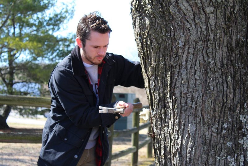 A young man braces himself against a large tree trunk with his left hand while holding a hammer in his right hand, ready to tap against a small plastic spigot in the tree.