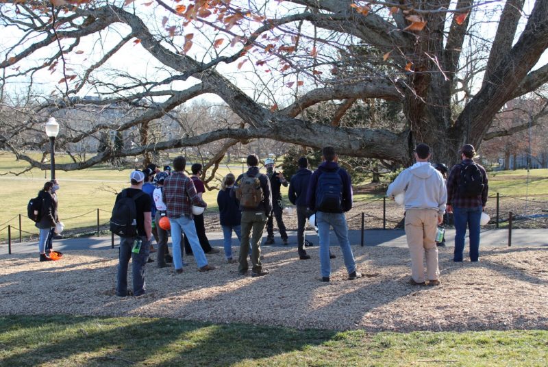 A group of about 15 people stand at the base of a large oak tree in an open, grassy area.