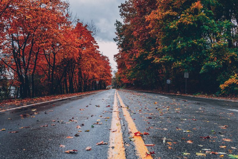 Image of fall foliage courtesy Pexels.